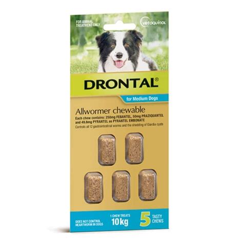 Drontal Allwormer Chewable for Medium Dogs 5 Chews | Healthylife