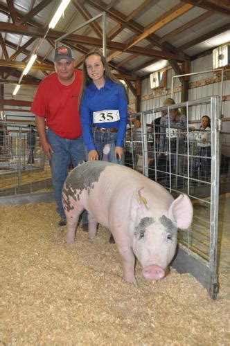 4 H Ffa Livestock Sale Raises 410k News