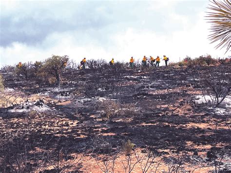 State Led Mimbres Crew Tackles First Wildland Fire Silvercity Daily Press