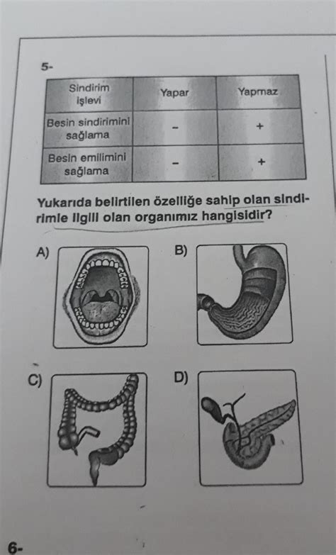 Sorunun Cevab L Tfen Acil S N F Fen Bilimleri Bo Yapalanlar