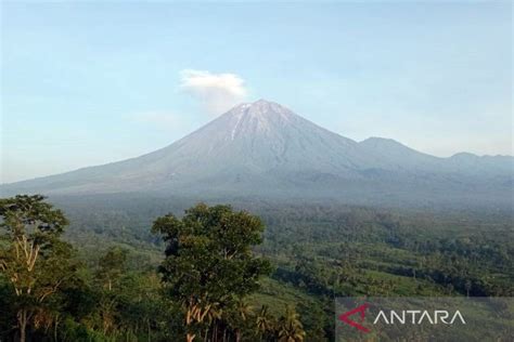 Aktivitas Gunung Semeru Alami 21 Kali Gempa Letusan ANTARA News