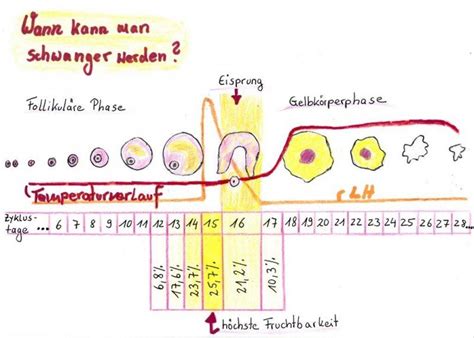 Wann kann man schwanger werden 3 Tipps für das perfekte Timing