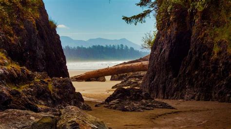 Beach near Tofino, Vancouver Island, Canada - Bing Gallery