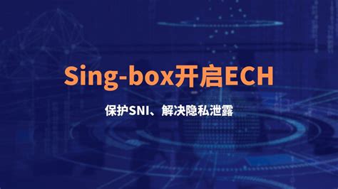 sing box v2ray – 奶油之家