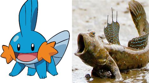 14 Pokémon Based On Bizarre Real Life Creatures Page 10