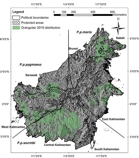 Bornean Orangutan Distribution 2010 Green Dissected Into The Three