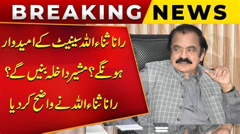 Rana Sana Ullah Speaks About His Senate Election And Becoming Advisor