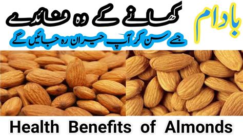 badam khane ke fayde health benefits of almond بادام کھانے کے فائدے