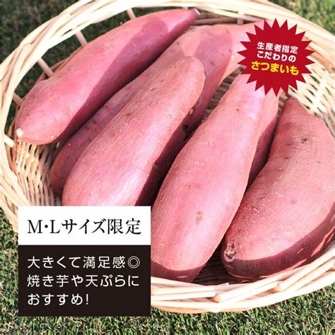 さつまいも 紅はるか 5kg 千葉県産 貯蔵熟成品 M・lサイズ サイズ選べる S01t 甘い 土付き 糖化 追熟済み 産地直送 送料無料