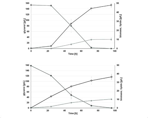 Batch Bioreactor Fermentation Of Y Lipolytica Ajd Pad Dga1 Strain In