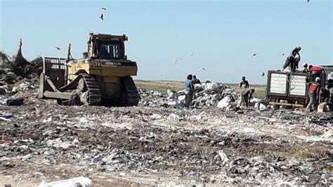 La Postal Más Cruel De Todas El Basural De Mar Del Plata Perfil