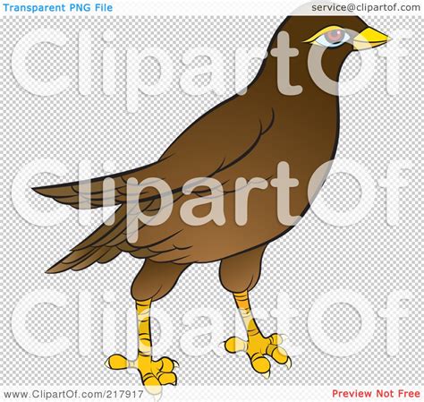 Royalty Free Rf Clipart Illustration Of A Maina Bird By Lal