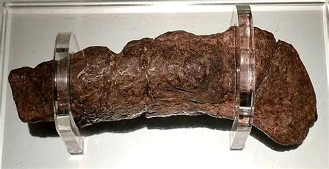 The Largest Fossilized Human Turd Ever Found Came From a Sick Viking