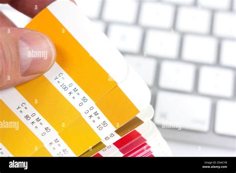 designer choosing the proper color Stock Photo - Alamy