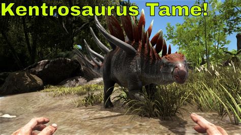 How To Tame A Kentrosaurus Ark Survival Evolved Youtube