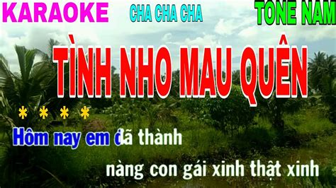 Karaoke Tinh Nho Mau Quen Cha Cha Cha Tone Nam Youtube