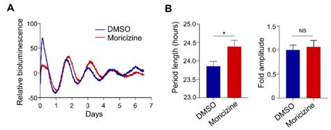 Moricizine Lengthens The Circadian Period In Atrial Tissues Ex Vivo