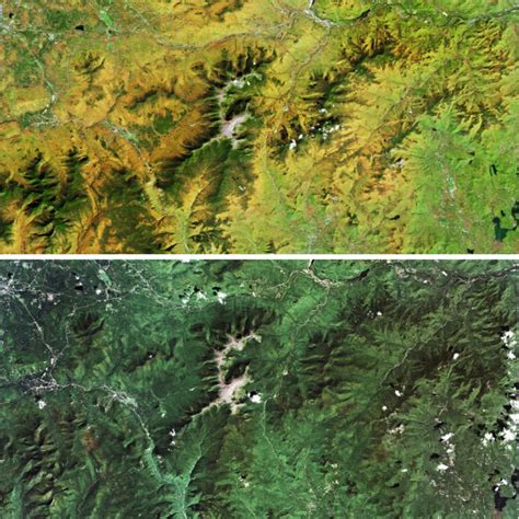 Wälder Satellitenbilder Zeigen Wie Bedroht Bäume Weltweit Sind Sternde