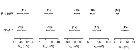 6 Voltage Dependence Of Activation V M K M Of Steady State