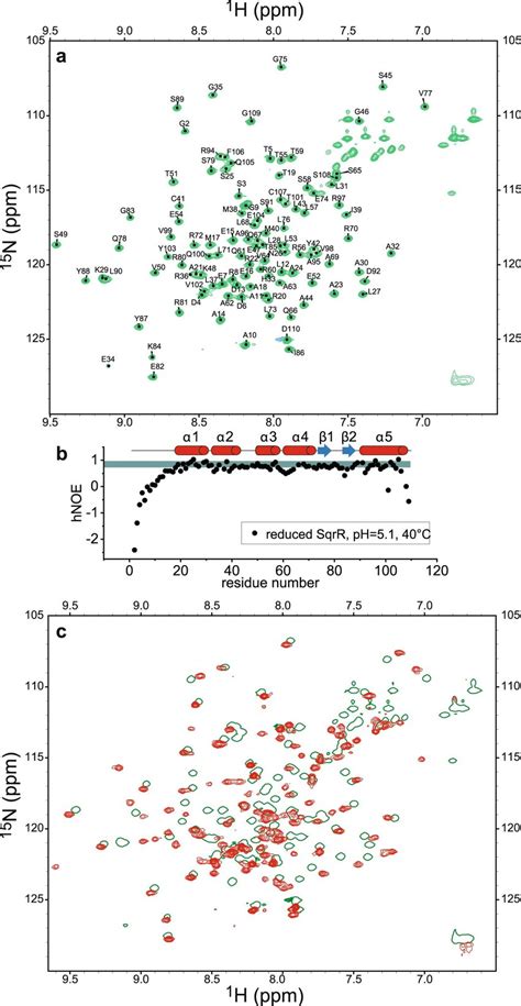 ¹h ¹⁵n Hsqc Spectra And ¹h ¹⁵n Heteronuclear Nuclear Overhauser