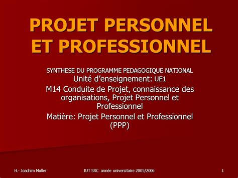 Exemple De Ppp Projet Professionnel Personnel