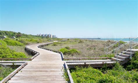 Discover The Natural Beauty Of Myrtle Beach State Park Paradise Resort