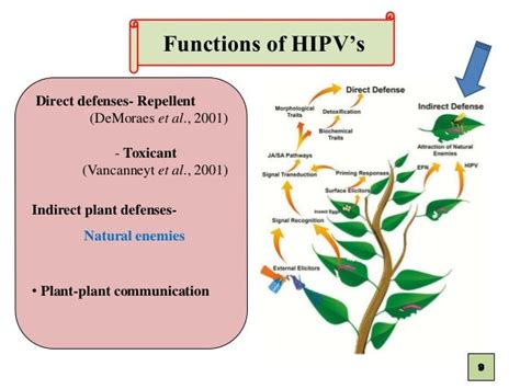 Tritrophic Interactions Mediated By Herbivore Induced Plant Volatile…