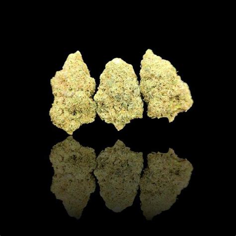 High Thca Hemp Mac Bulk Options Avl Hmp Store