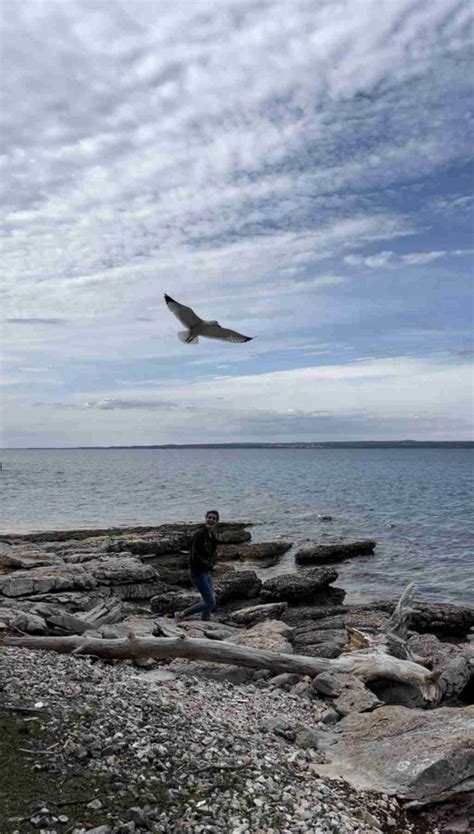 Isole Brioni Croazia Escursione Nel Parco Nazionale DellIstria