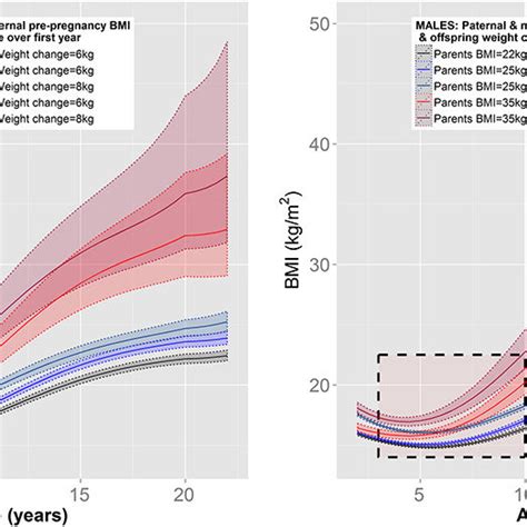 Adjusted Sex Specific Bmi Mean Trajectories Based On Early Life Risk