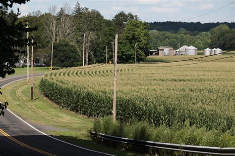 settling  stone ridge ny upstate house upstate house