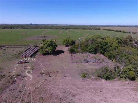 Venta Campo Ganadero 89 Hectáreas Pilar Santa Fe Agrofy