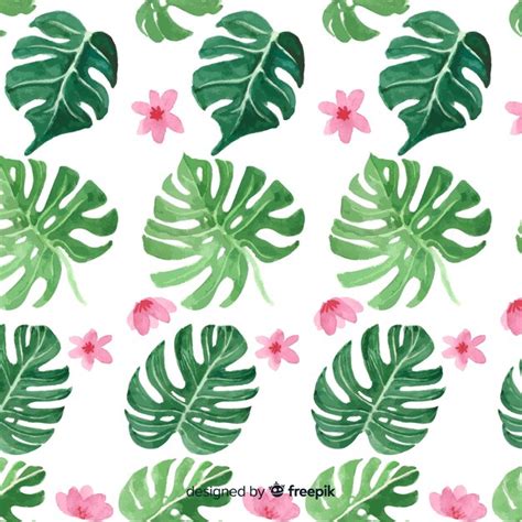 Fondo Hojas De Monstera Acuarela Vector Gratis