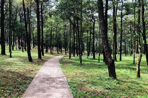 travel guide  ba vi nature getaway   hanoi