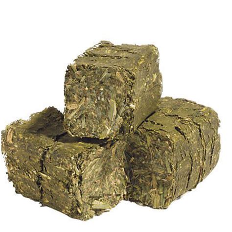 Premium Timothy Hay Cubes Grain And Forage Sharpe Farm Supplies Ltd