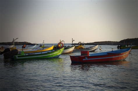 Fishing Boats At Sunset Free Stock Photo Public Domain Pictures