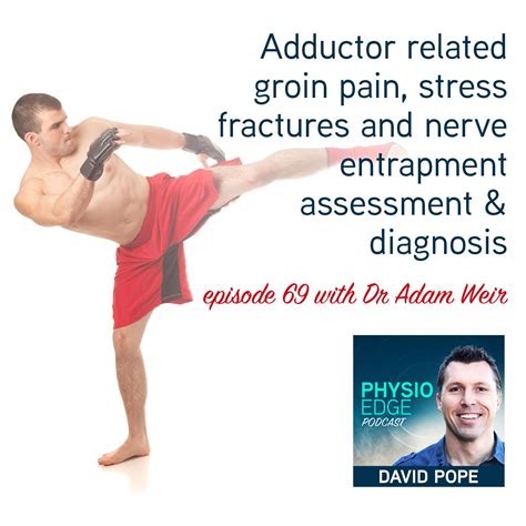 Physio Edge Adductor Related Groin Pain Stress Fractures And Nerve