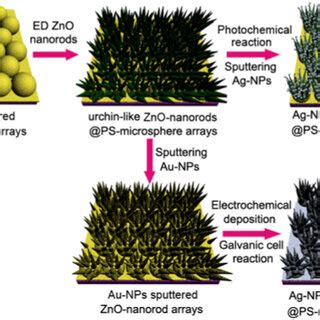 Schematic Illustration For The Preparation Of Hierarchical