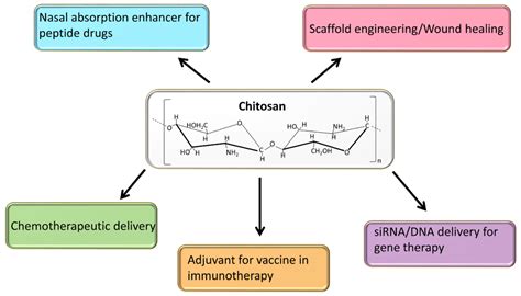 Marine Drugs Free Full Text Multifaceted Applications Of Chitosan