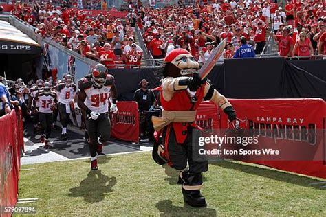 210 Tampa Bay Buccaneers Mascot Photos & High Res Pictures - Getty Images