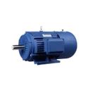 Lhp Electric Motors Lhp Std Induction Motor Retail Trader From Ahmedabad