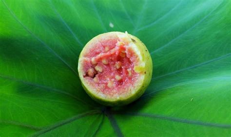 Fruta com G - Dúvidas de Português no Dicio