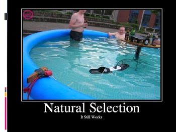 Ap Biology Big Ideas Natural Selection By Scienceedu Tpt