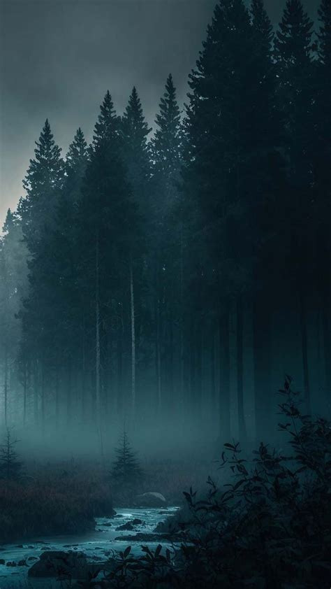 Misty Forest Trees iPhone Wallpaper