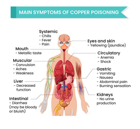 The Health And Environmental Effects Of Copper Eco Rama