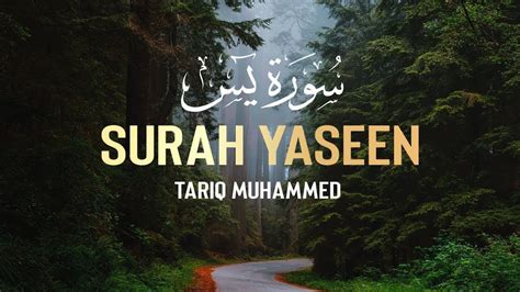 Surah Yaseen Qari Tariq Muhammed Quran Recitation