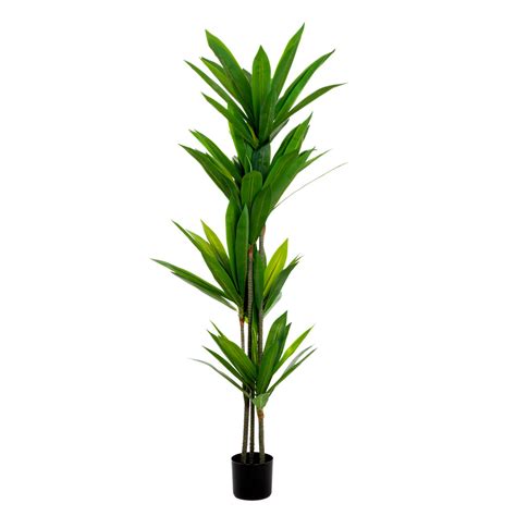 Roślina sztuczna TROPICAL ZONE dracena 160cm HOMLA Homla Sklep