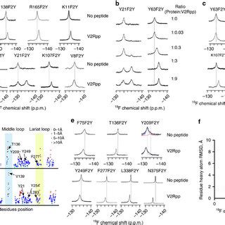 Different Phospho Barcodes Encode Different Arrestin Functions And