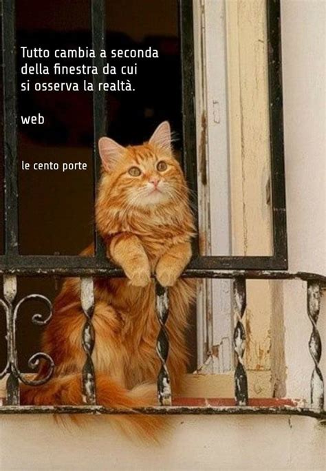 An Orange Cat Sitting On Top Of A Window Sill Next To A Metal Frame