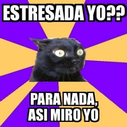 Meme Anxiety Cat Estresada Yo Para Nada Asi Miro Yo